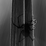 Backlit, Raindrops and a Spider