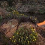 Golden Light sunset at Treasure Lake, Wichita Mountains