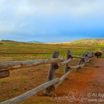 A lone Bison at Wichita Mountains Prairie Field