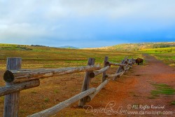 A lone Bison at Wichita Mountains Prairie Field