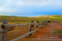 A lone Bison at Wichita Mountains Prairie Field