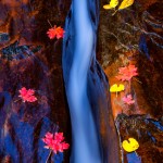 The Crack of Subway, Zion National Park