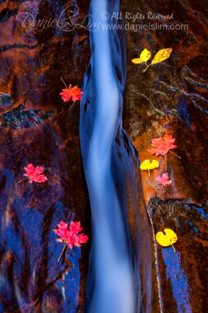 The Crack of Subway, Zion National Park